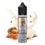 VCT CARAMEL 20ml RIPE VAPES